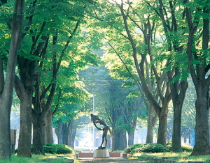 photo2