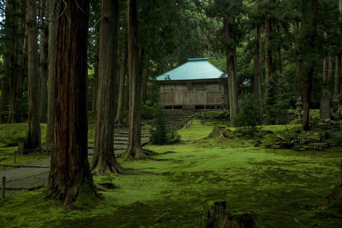 平泉寺白山神社（勝山市）