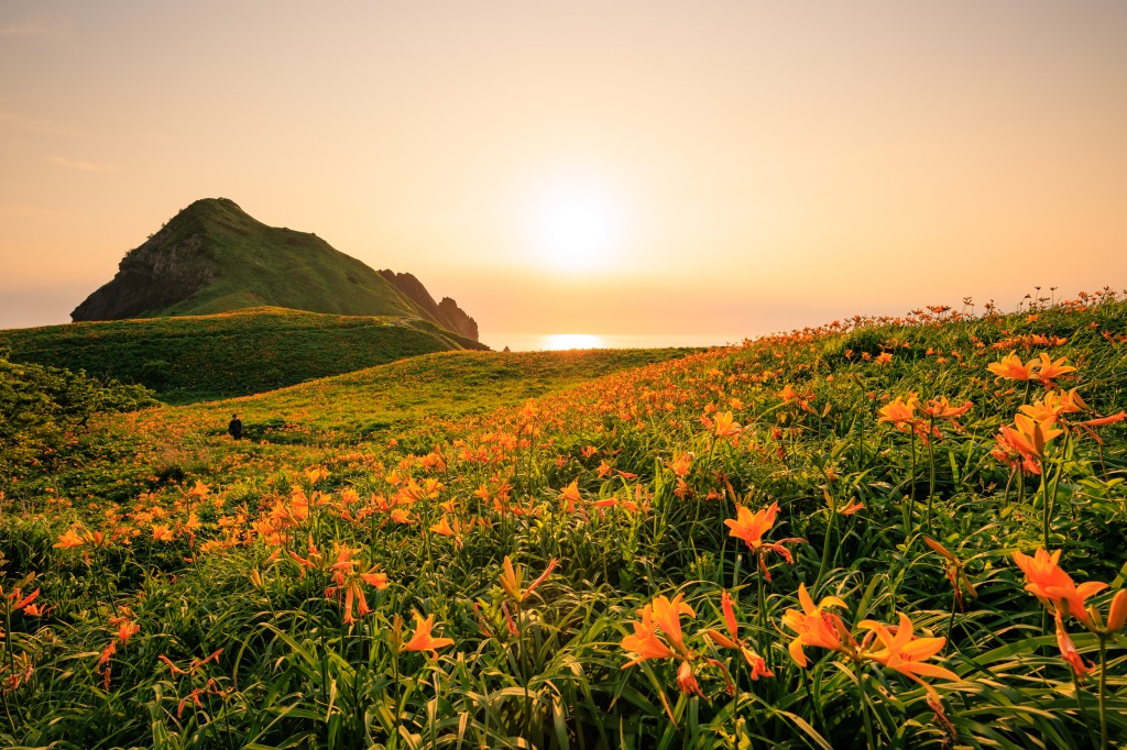 【５時間】佐渡ヶ島観光モデルコース～佐渡の秘境大野亀コース～