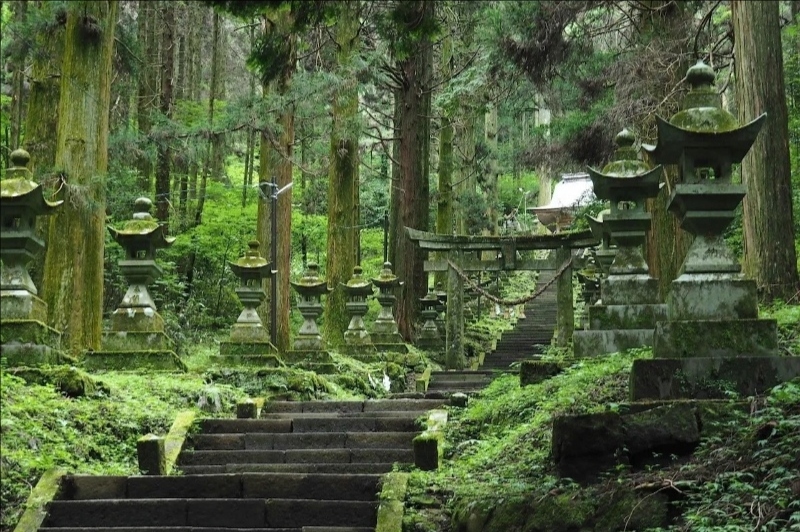 【熊本発】阿蘇の魅力を満喫しよう！上色見熊野座神社・阿蘇中岳火口・黒川温泉日帰りツアー、多言語ガイド