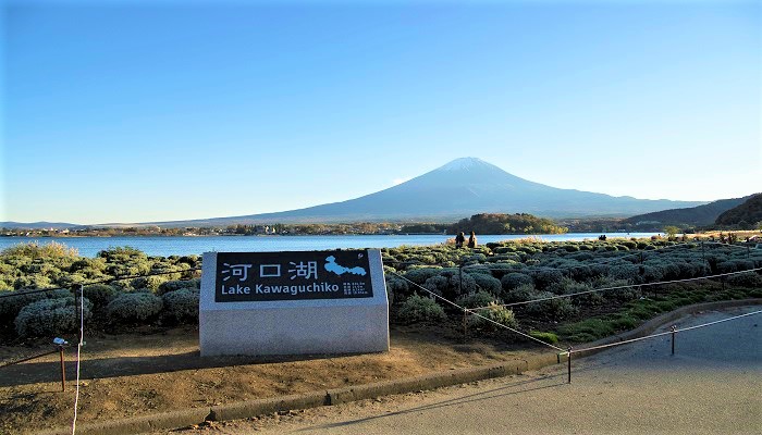 【貸切タクシー定番観光プラン】富士四湖めぐりコース【4時間】S-3