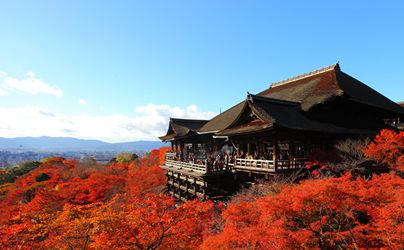 京都フリープラン 8時間コース 旅プラスワン