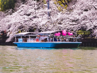 ＊桜 PIRATES BBQ クルーズ＊10〜50名様貸切船