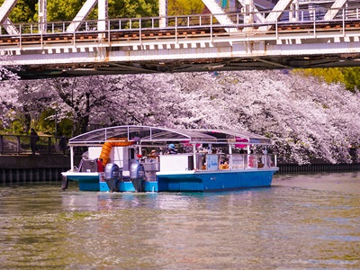 桜 PIRATES 寿司クルーズ