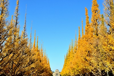 photo1