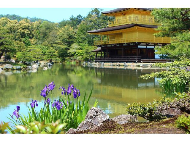 京都の名所をぐるっと巡る！お手軽6時間プラン★観光タクシーで楽々♪