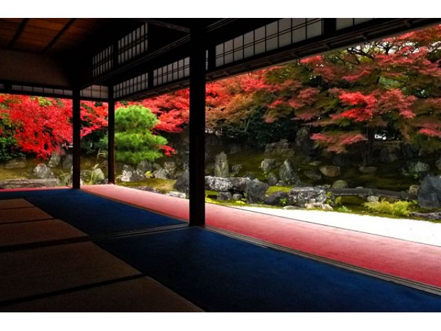 千年の歴史をもつ平等院、宇治・伏見を巡る贅沢プラン！たっぷり8時間プラン