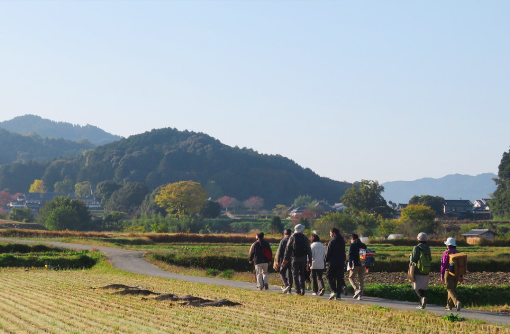 朝景色トレッキングツアー