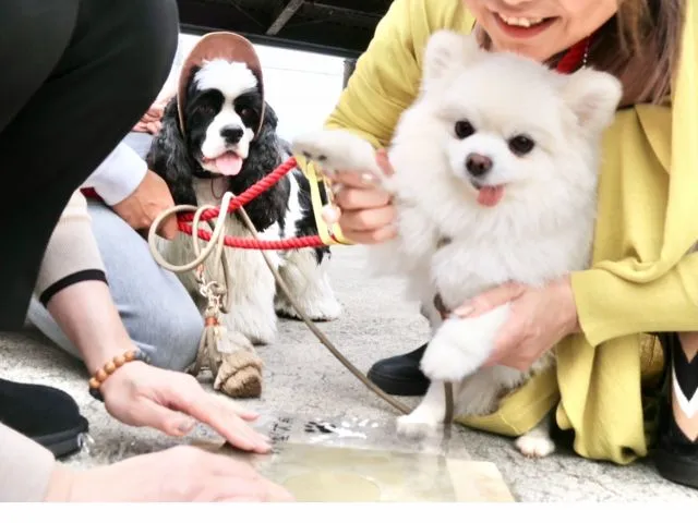 【淡路島】淡路瓦で作るオンリーワンっ！！足型プレート da fullプラン♪　大切な愛犬との思い出づくりにおすすめ！