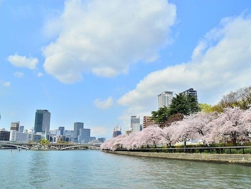 ★2025年お花見★大阪の春を船・ボートで満喫♪大川お花見クルーズ2025🌸