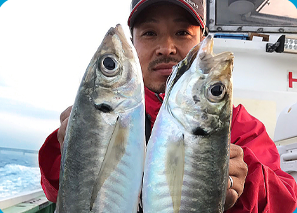 【大阪湾/釣り船】鬼アジ狙い1日便(エサ・氷別)