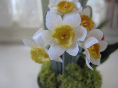 photo2