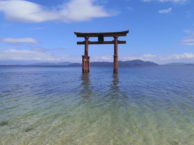 大人気♪白ひげ神社でSUP体験！琵琶湖に浮かぶ大鳥居で写真映え◎ 透き通る水の上で感じる非日常。夏休みの家族旅行・女子旅におすすめ！