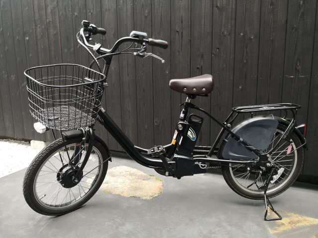 【メタセコイア並木をサイクリング】SNS映え確実!クロスバイクで並木道を駆け抜ける♪女子旅・友人同士に大人気!