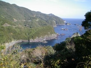 9時間ロングコース♪南国の海と絶景めぐり！薬王寺・うみがめ博物館・モラスコむぎ・大龍寺へ。