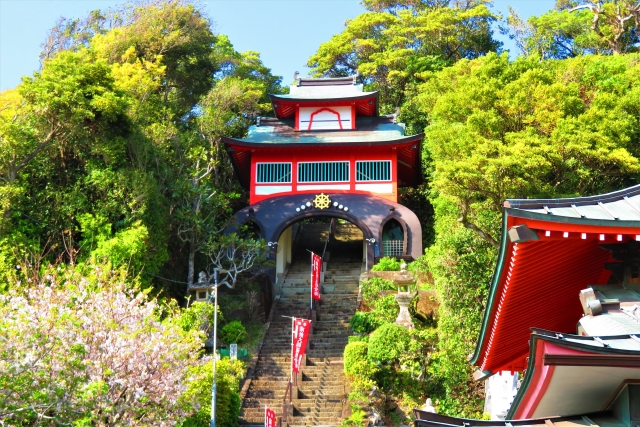高知市内をギュッと凝縮！はりまや橋・桂浜・牧野植物園・高知城を巡って大満足のコース