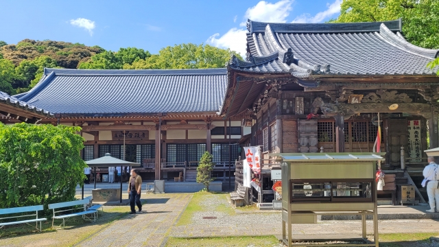 高知市内をギュッと凝縮！はりまや橋・桂浜・牧野植物園・高知城を巡って大満足のコース