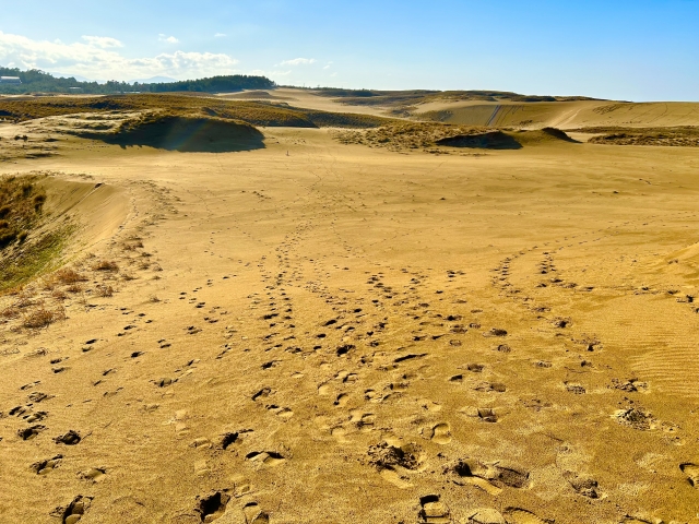 砂丘物語「鳥取砂丘コース」　砂丘コースB