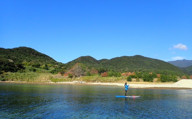 屋久島で半日シュノーケルでウミガメに会いに行こう！