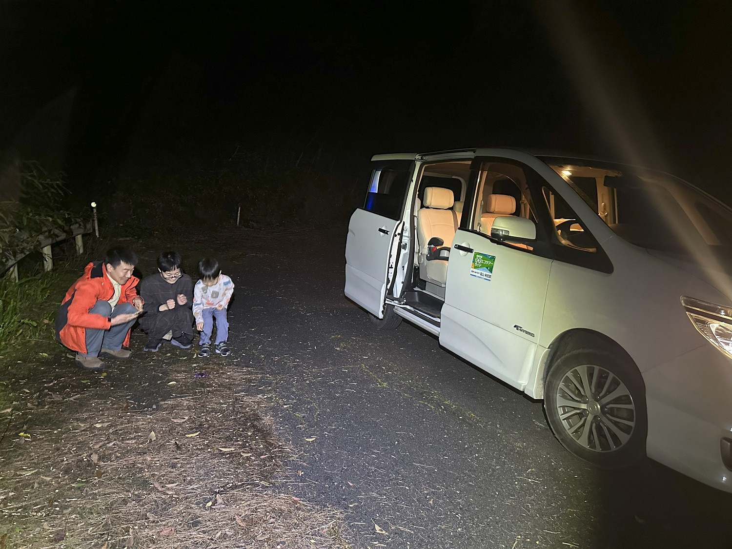 【鹿児島・奄美大島】★1日1組限定★完全送迎付き「奄美の夜の森、アマミノクロウサギ探検ツアー」（2名様より）