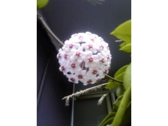 photo3