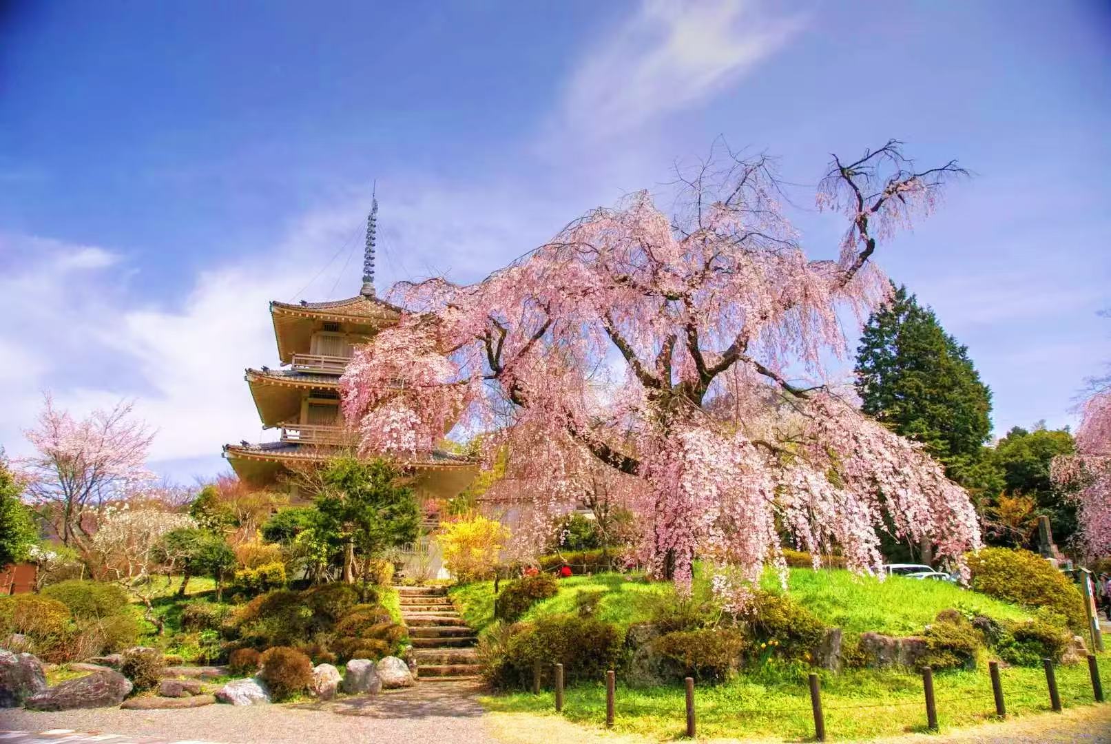 高千穂神社＋高千穂峡＋天岩戸神社など（地元特産物を使った本格的な和食ランチ付き）福岡発日帰りバスツアー
