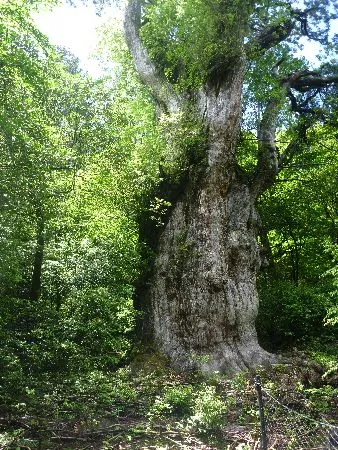 photo3