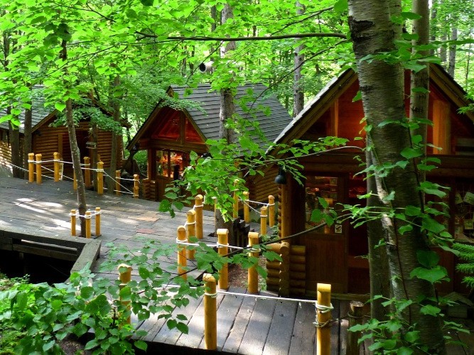 【トマム発着で富良野・美瑛へ】ふらのジャム園・ファーム富田・四季彩の丘・しらひげの滝・青い池・ニングルテラスの人気スポット巡り！ファミリーにも人気です。