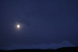 photo2