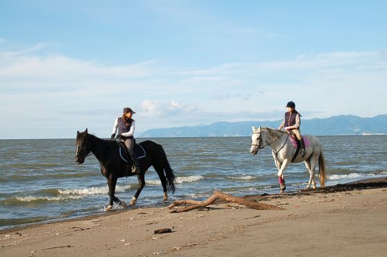 石狩で日本海を眺めながらの乗馬体験