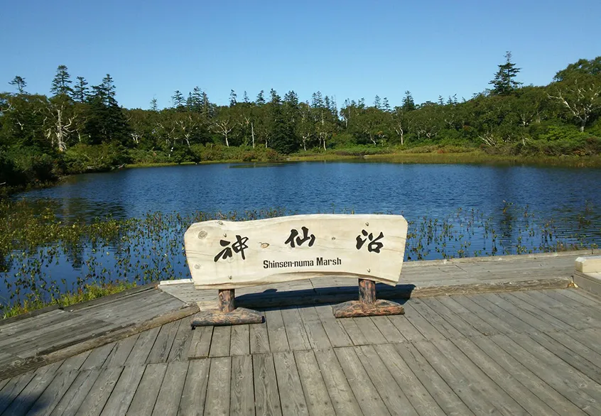 photo2