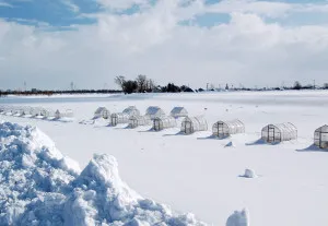 秋の紅葉や冬景色に感動間違いなしの定山渓温泉！じょうてつバス1日乗り放題＆ロゴ入りタオル＆ポストカードプレゼント付