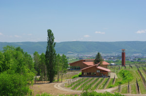 photo3
