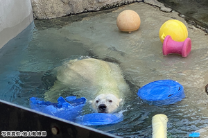 9：30発／札幌駅★乗り換えなしで動物園へ直行！観光ガイドの楽しい車窓案内付きで楽々旭山動物園へGO！