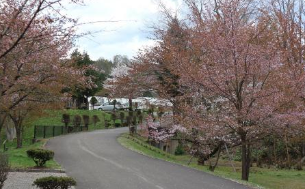 photo3