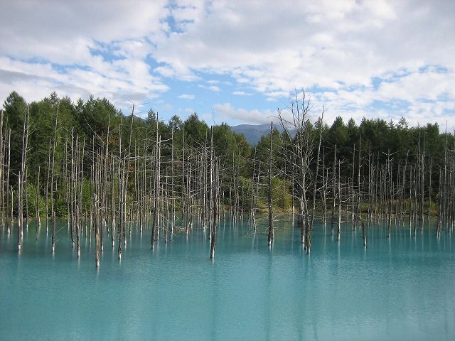 北海道