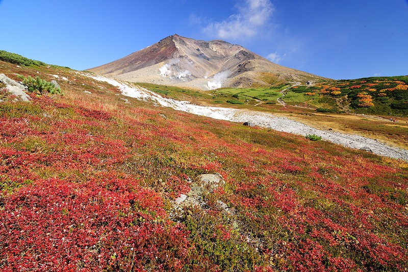 北海道 紅葉みどころスポットご紹介