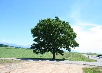 photo3