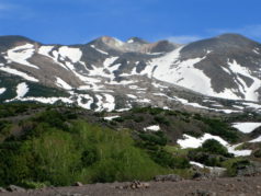 photo3