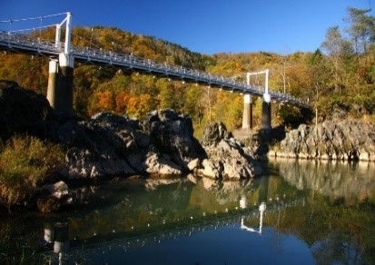 photo2