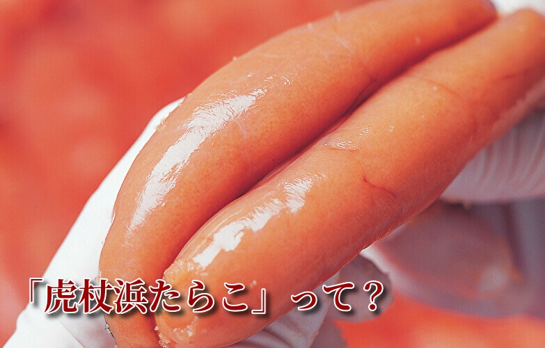 photo2