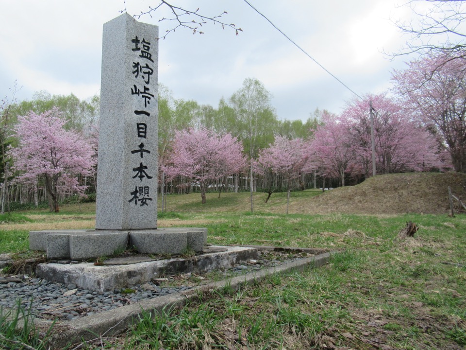 ＜札幌発＞道北桜旅紀行〔塩狩峠・士別・和寒・鷹栖〕～ＪＲローカル線車窓から眺める塩狩峠の桜～