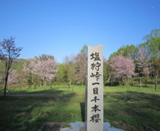 photo3
