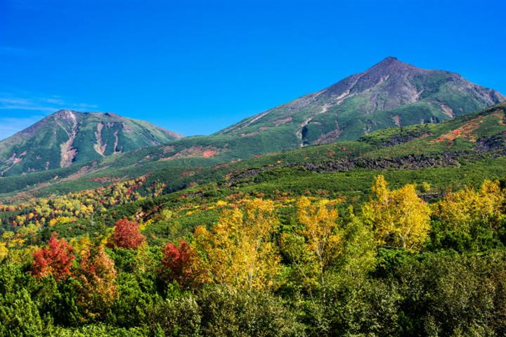 ＜札幌発＞富良野・美瑛物語＜秋編＞青い絶景「青い池」・大雪山十勝岳「望岳台」・大パノラマ「新栄の丘」ふらのワインハウスでランチ付コース♪