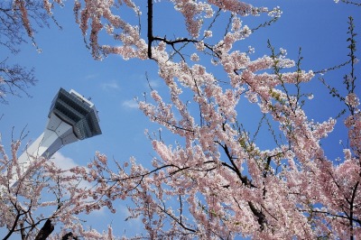 photo1
