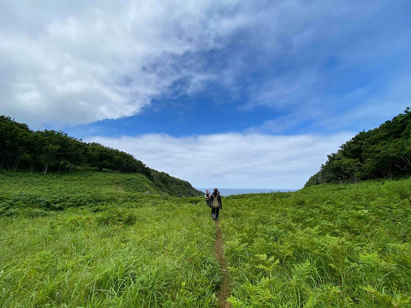 遊歩道の無い原生林を歩こう！！森歩き絶景ツアー