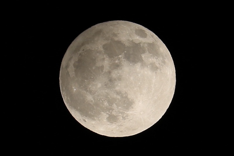photo1