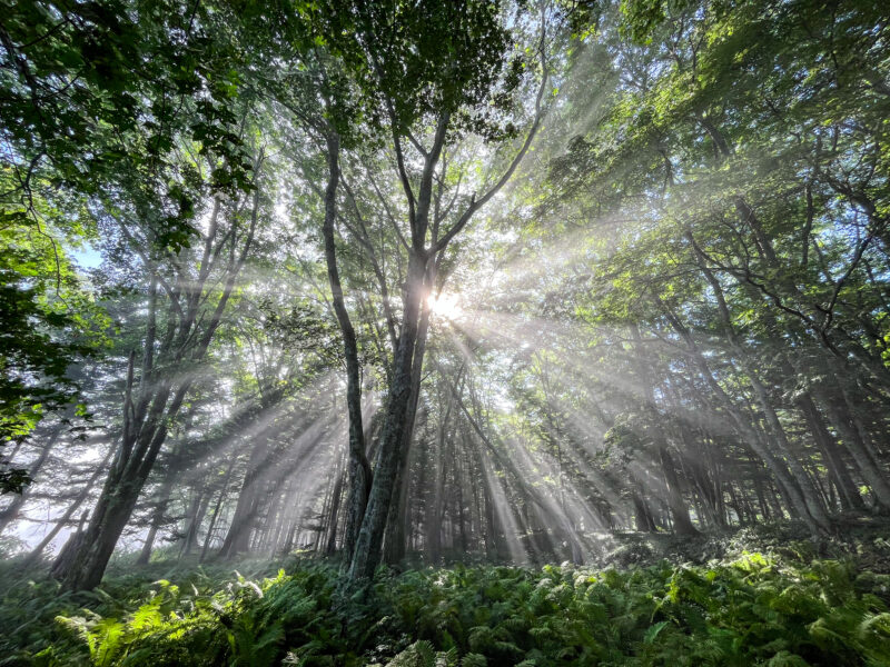 鶴雅アドベンチャーベースＳＩＲＩ～神秘の秘湖トレッキング