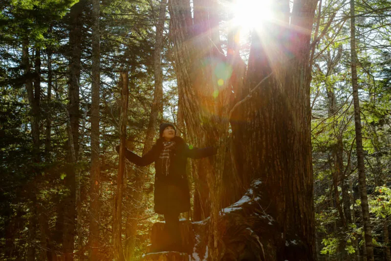 鶴雅アドベンチャーベースＳＩＲＩ～不思議の森へご招待 プレミアムツアー（冬季）