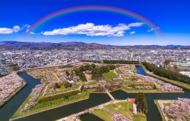 旭山動物園とライトアップ青い池・白ひげの滝、道の駅びえい「白金ビルケ」にも立ち寄り！